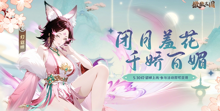 微微三国