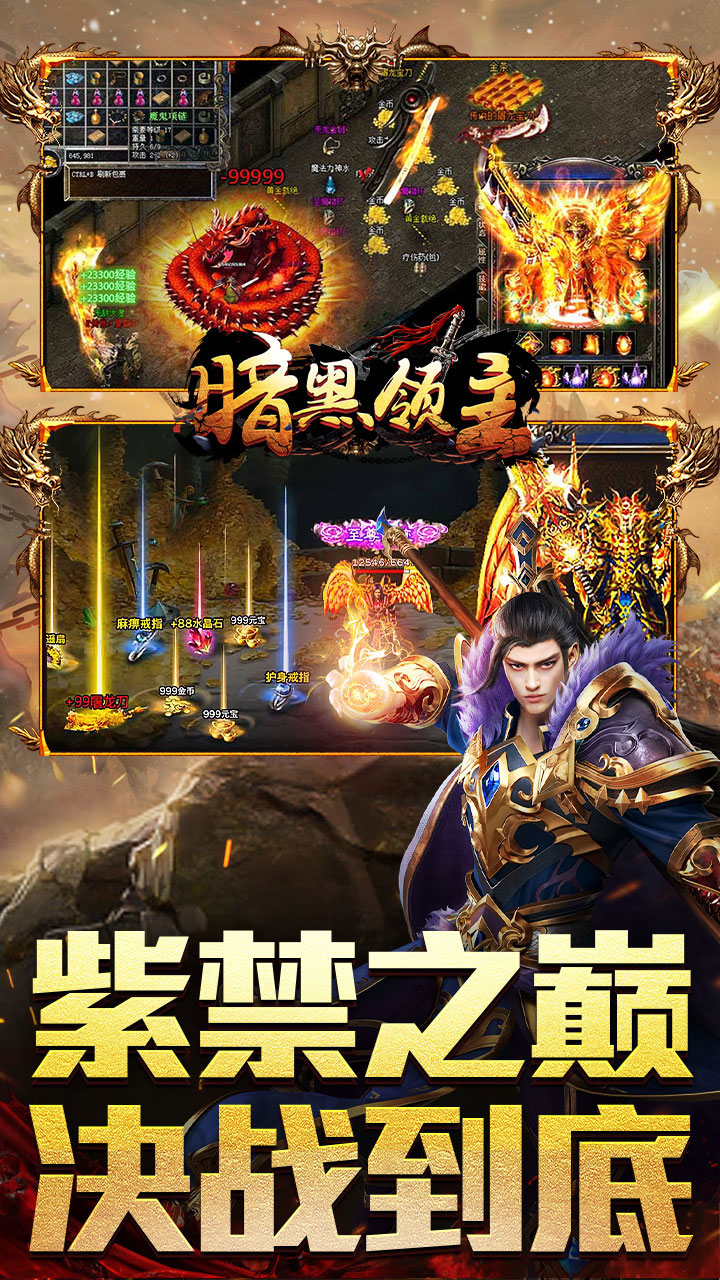 暗黑领主图片 5