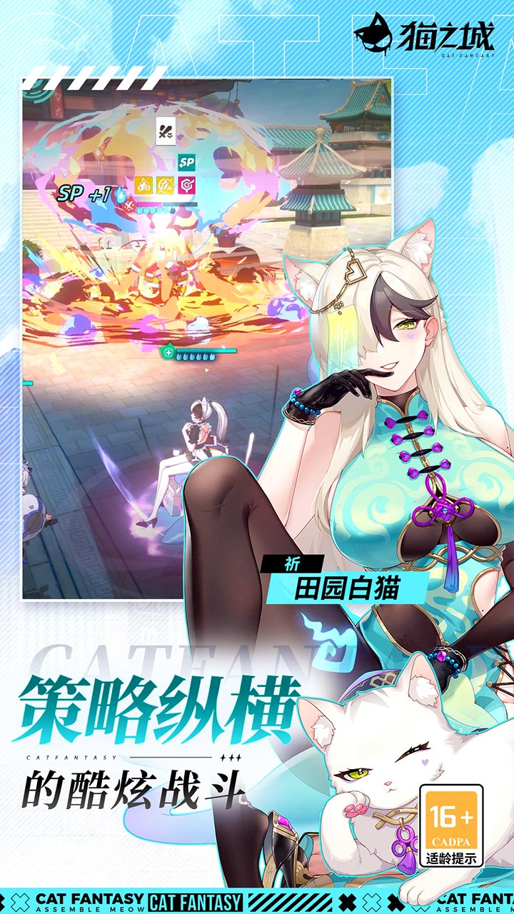 猫之城图片 5