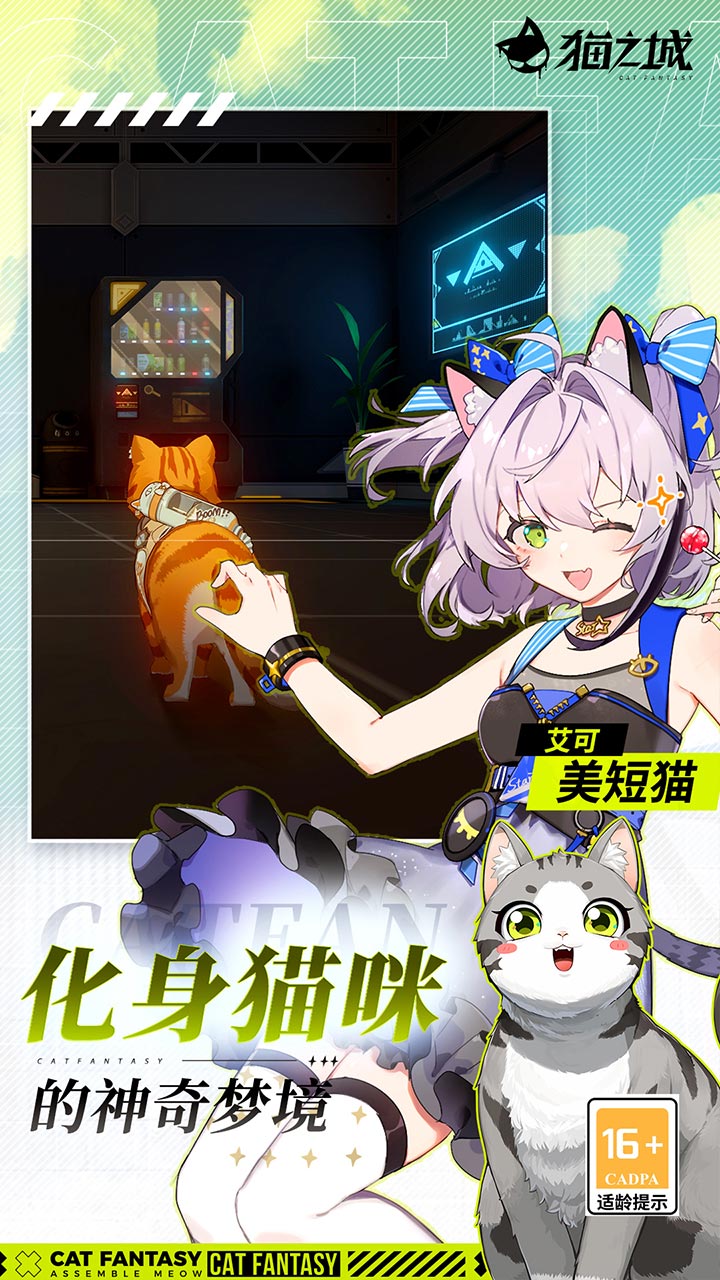猫之城图片 3