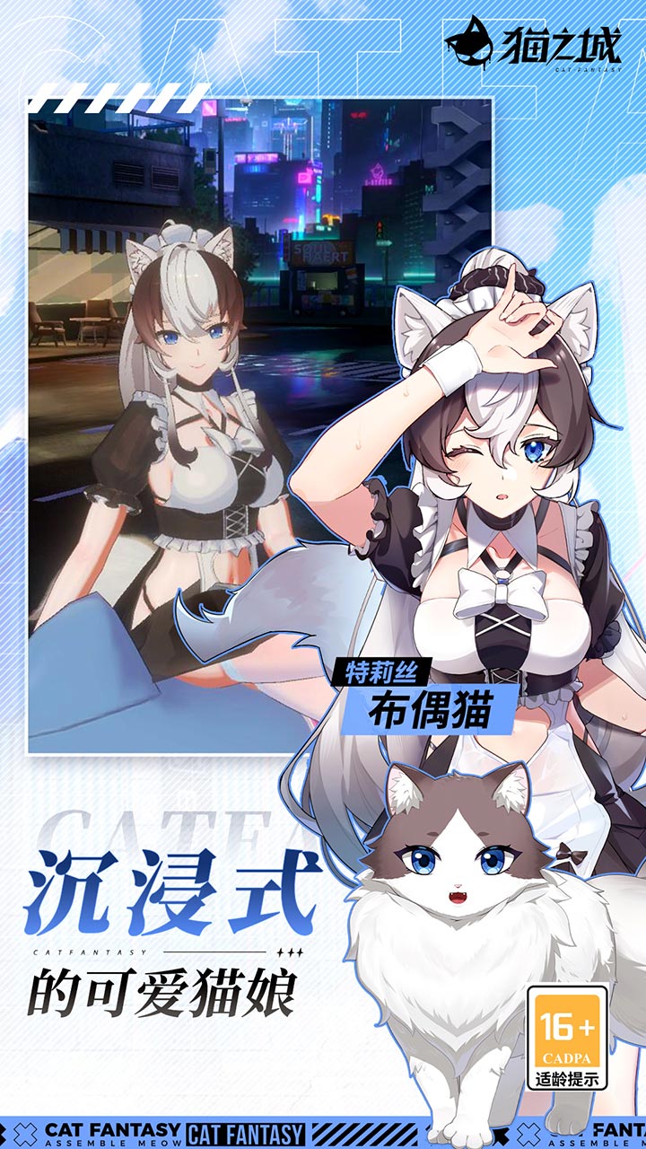 猫之城图片 1