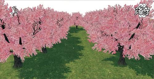 《洛奇》来爱琳世界欣赏樱花缤纷的美景吧
